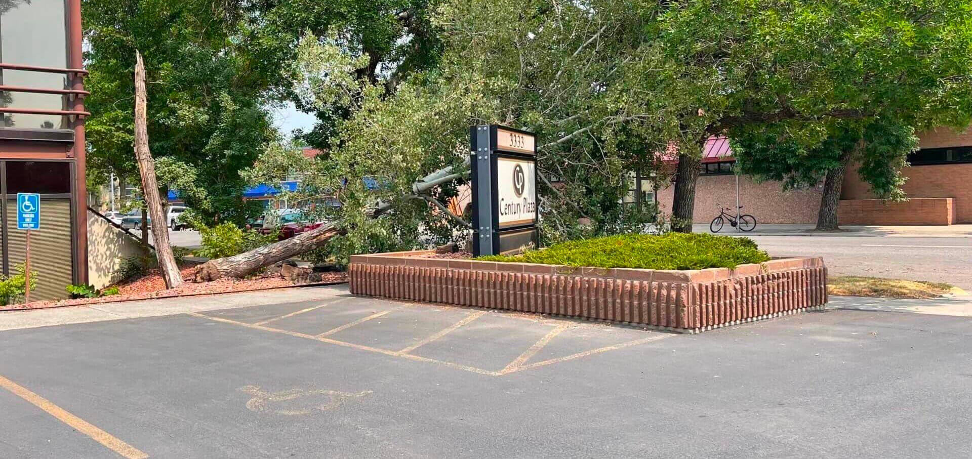 Storm Cleanup