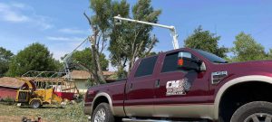 Tree Removal