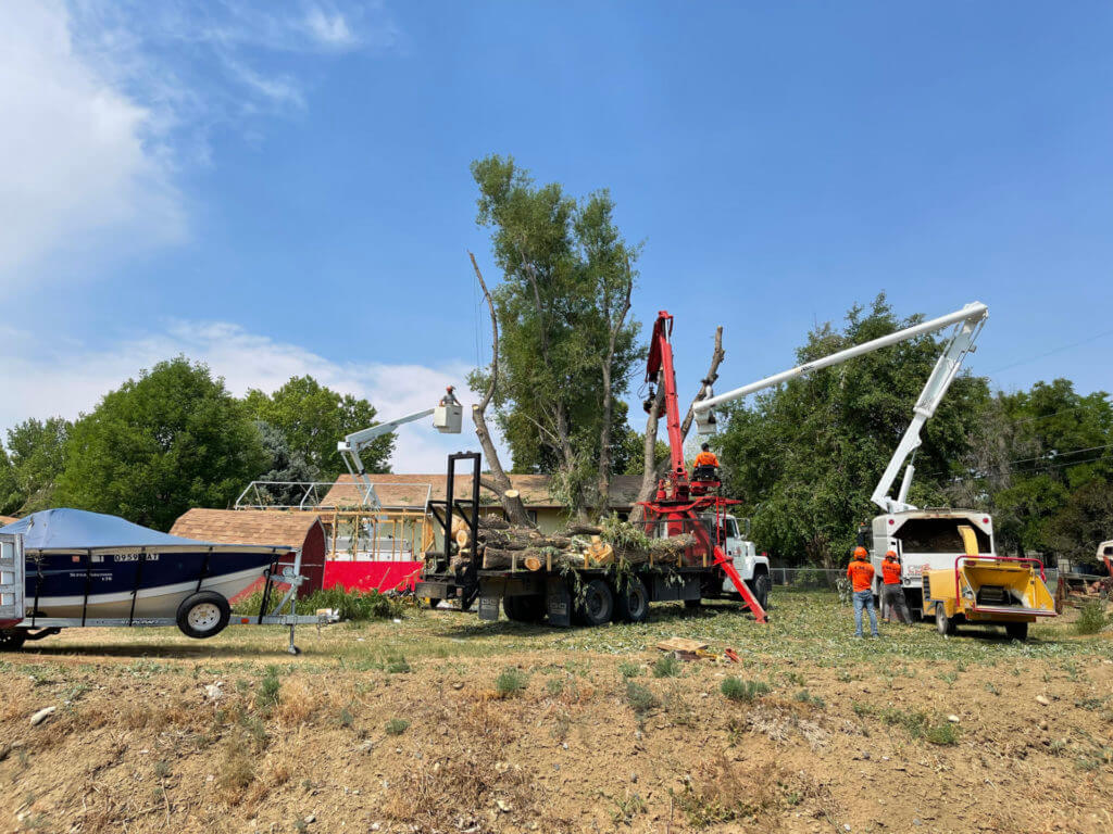 A tree crew working on removing debris