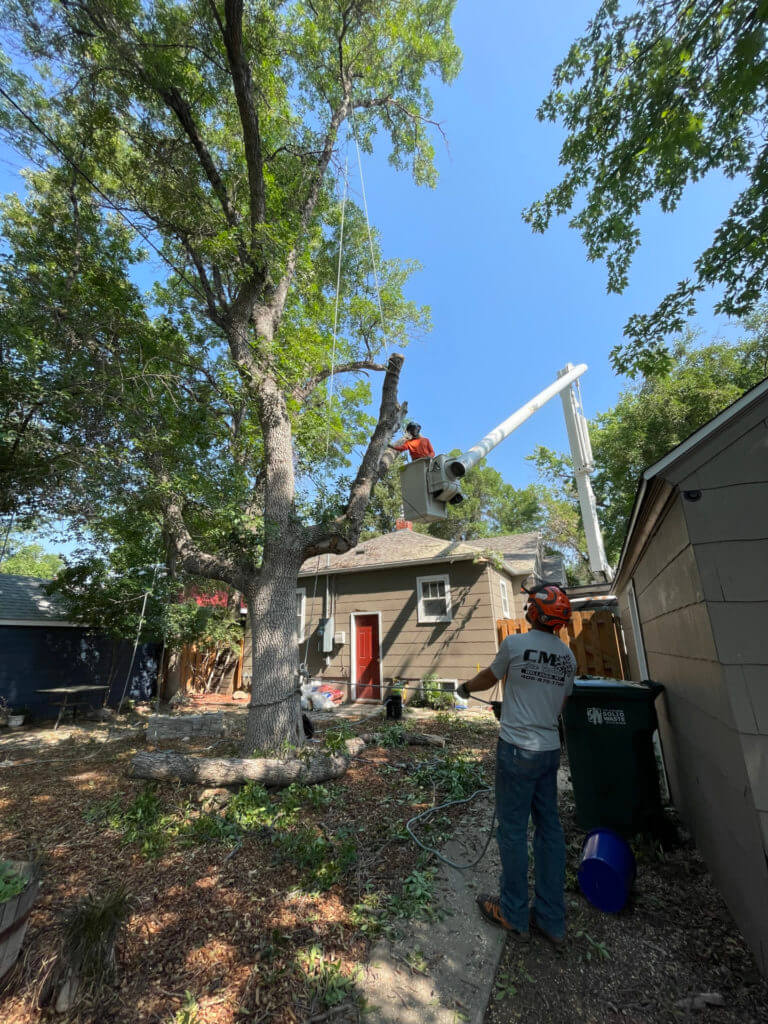 Removing branches from someone's backyard