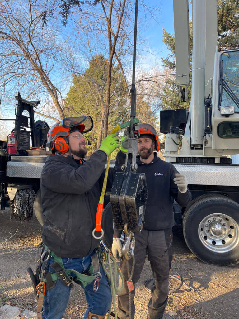 Two tree service workers preparing a device
