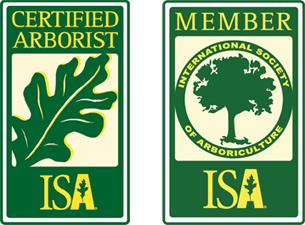 ISA