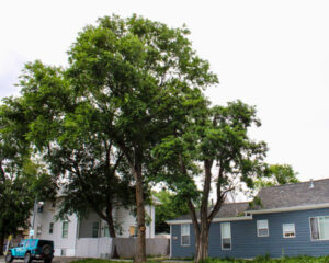 Img 2100