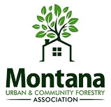Mucfa Logo